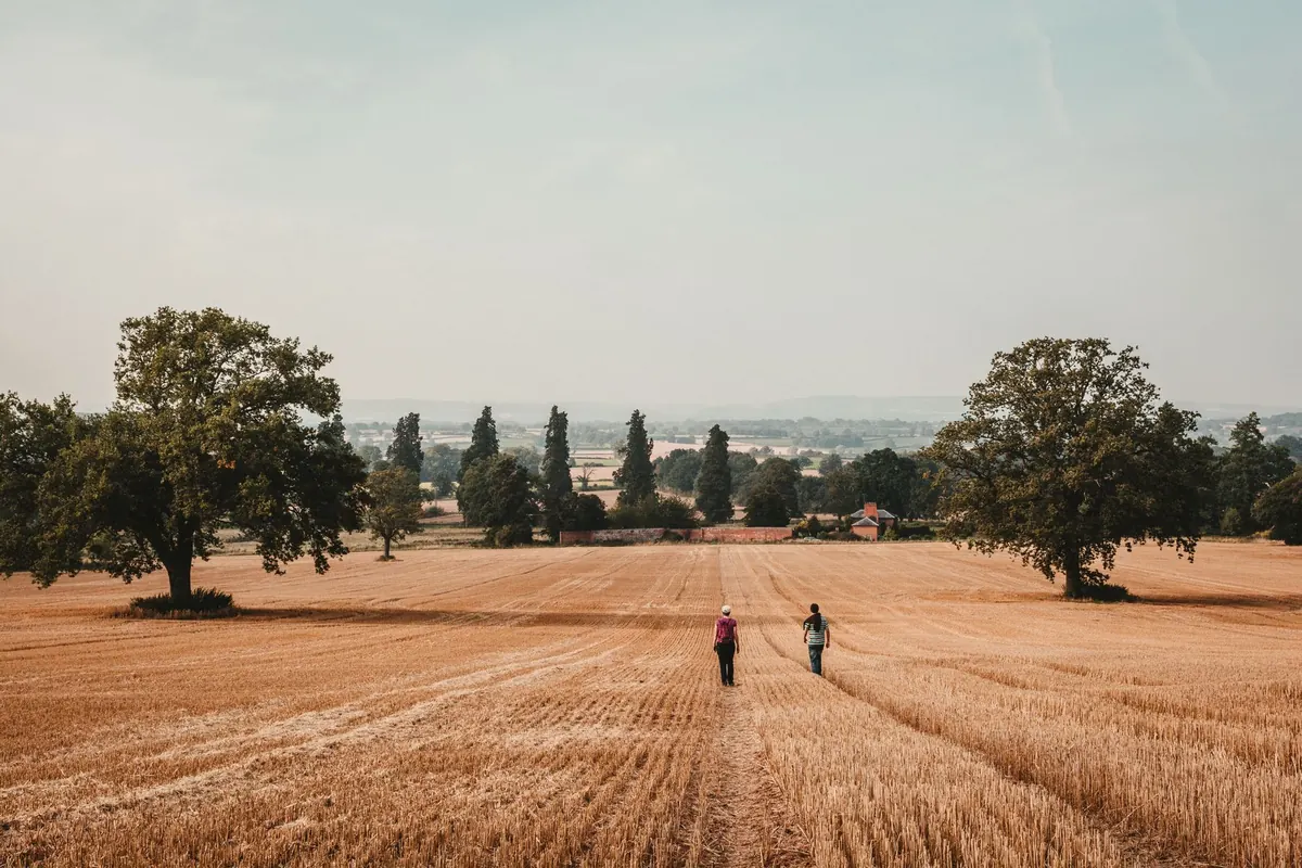 Beginner's Guide to Cotswold Walks: 5 Easy Circular Routes Under 5 Miles