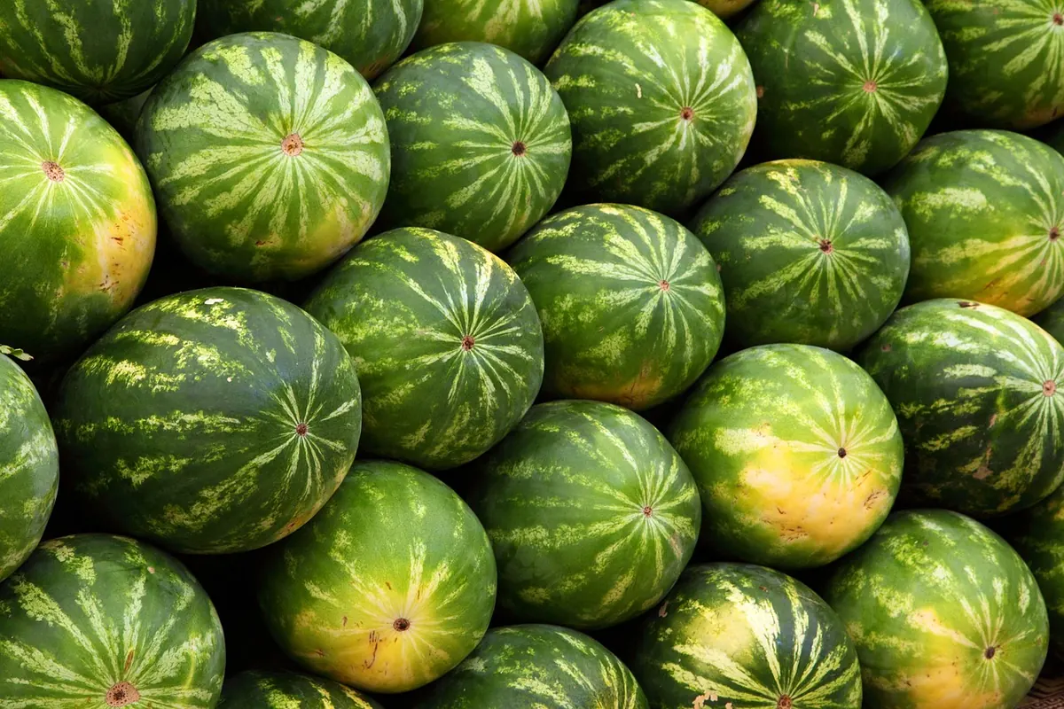 Cotswolds Farmers' Markets: A Seasonal Guide to What's in Season and Where to Go
